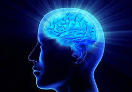 پاورپوینت (اسلاید) هوش   